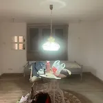 Flying Vienna