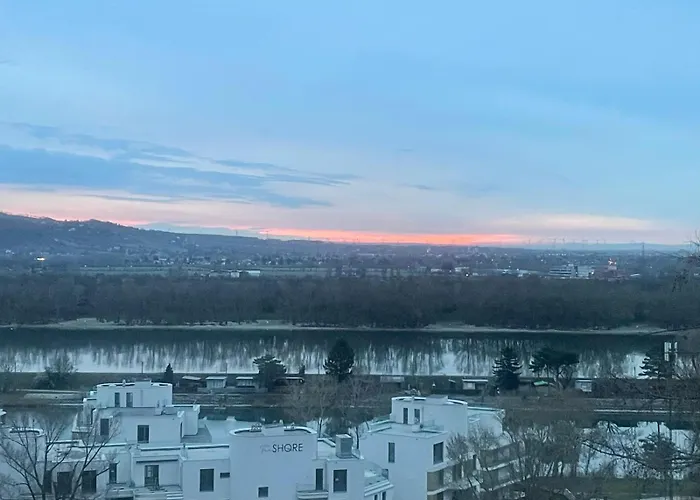 Flying Vienna